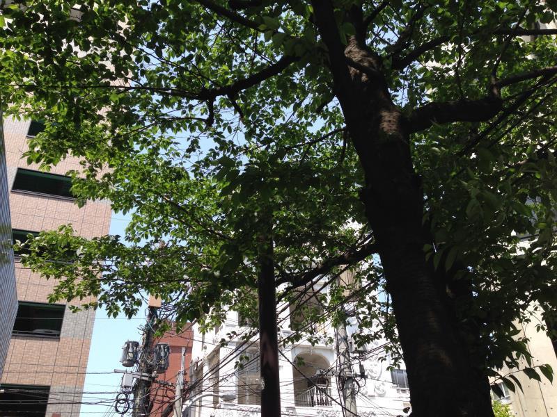 Fukuoka Guesthouse Little Asia Kokura Kitakyūshū Exterior foto